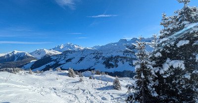 Ar&ecirc;ches grand Beau-fort !