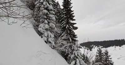 Sortie rapide en local 