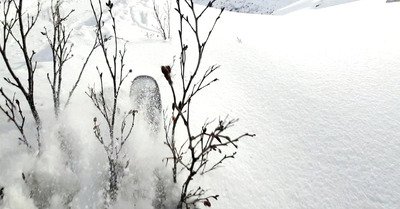 Orgie de poudreuse en altitude, fantastique et trop fun !