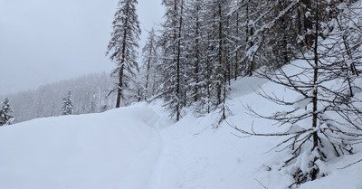 neige lourde &agrave; la Ratelle