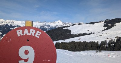 Des conditions pareilles c est