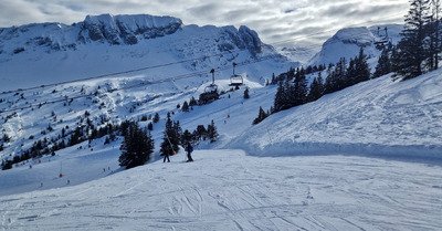 Magnifique d&eacute;couverte 