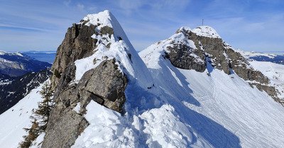 Chercheur d'or (blanc) 🔎