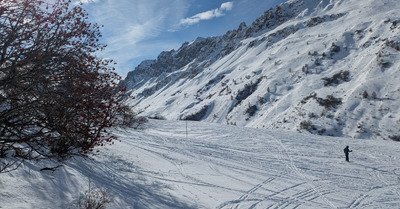 Freeride pour darons