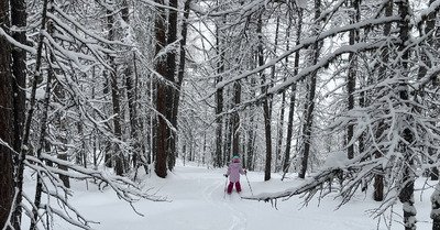 Livraison de neige lourde