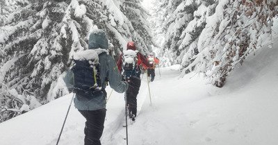 Trop de neige&nbsp;?