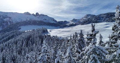 C&rsquo;est monstrueux ☃️☃️☃️