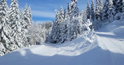 Ne pas tenter le diable 