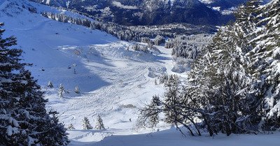 Apowpowcalypse ❄️❄️❄️