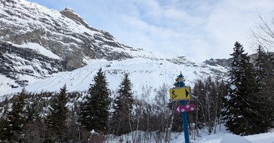 Pas un chat ... Ah si !