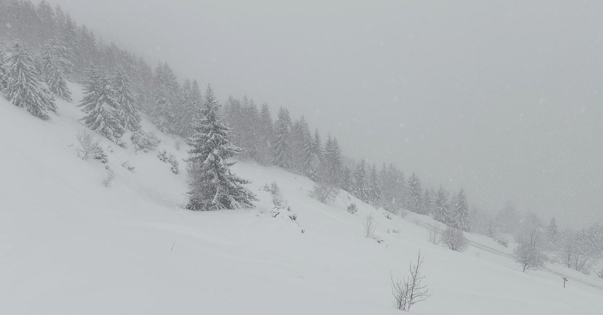 Ambiance grand nord canadien 