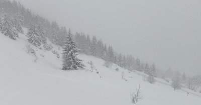 Ambiance grand nord canadien 