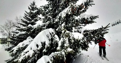 Neige fra&icirc;che en quantit&eacute;, et rafales, &ccedil;a ride !