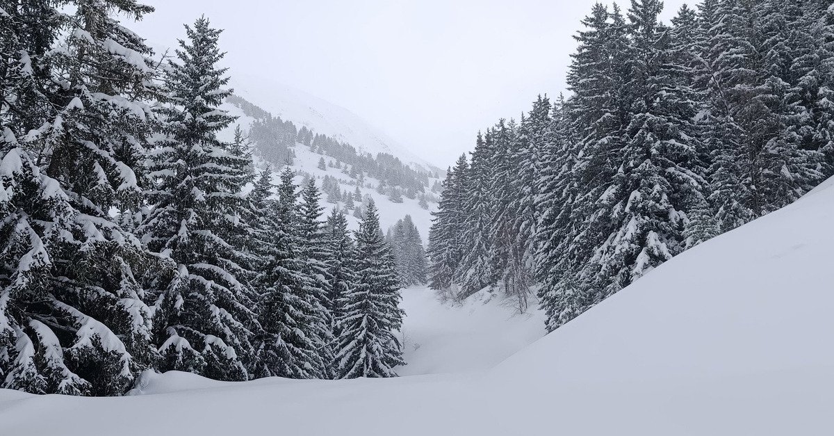 De l neige encore et encore 