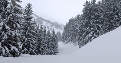 De l neige encore et encore 