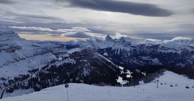 Noir & blanc ◼️◻️