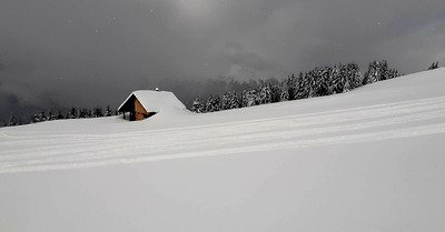 Le paradis de la poudreuse,c'est dans La For&ecirc;t !