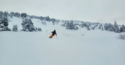 Fourteen years later