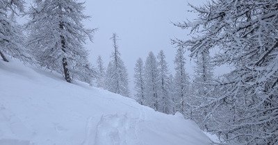 Jean Michel dieu de la neige r&eacute;gale 