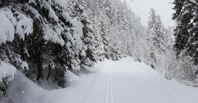 Courchevel merveille 