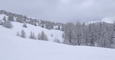 Neige encore et toujours 