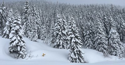 Couche m&eacute;morable de neige ☃️