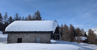 Y a pas que le ski alpin sous le soleil.