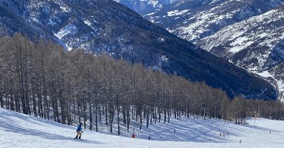 Poudreuse froide en Nord, Bronzage & Carving en sud 