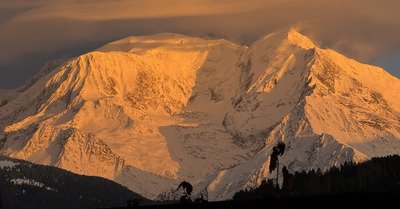 It&rsquo;s oppeeennn