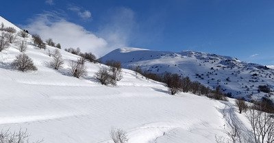 P&egrave;lerinage aux grandes Buffles