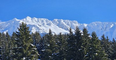 On regarde tout &ccedil;a de loin
