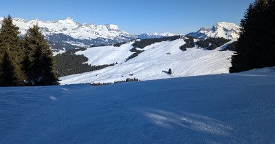 C est le printemps  !! ☹️