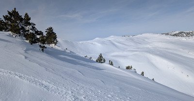 Reculet en T-shirt et en split.