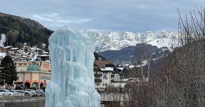 C&rsquo;est le printemps &hellip; en F&eacute;vrier!
