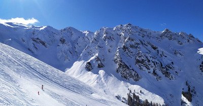 &ccedil;a sent le sapin!
