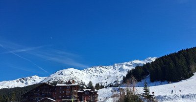 Ride de printemps...avec un ours 