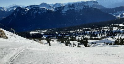 La soupe est servie  !