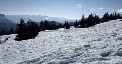 Le printemps c&rsquo;est maintenant!