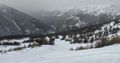 Entre le sable et la poudre