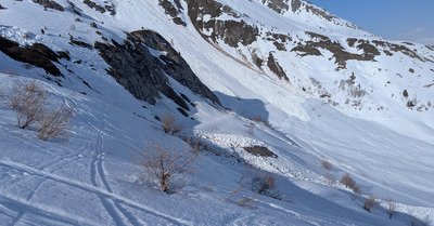&Ccedil;a sent le printemps 