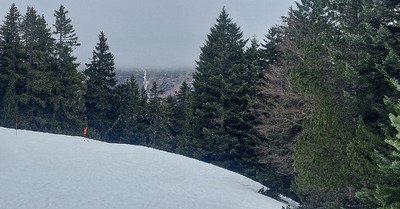Le printemps est arriv&eacute; 
