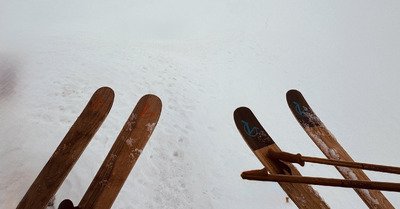 Grosse teuf pour les 20 ans de NPY 🎂 