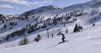 Malabar bi go&ucirc;t 