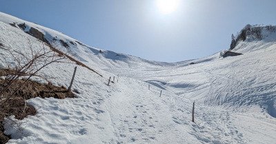 Un Sulens trop t&ocirc;t 