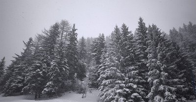 Oui ! L'hiver est de retour 