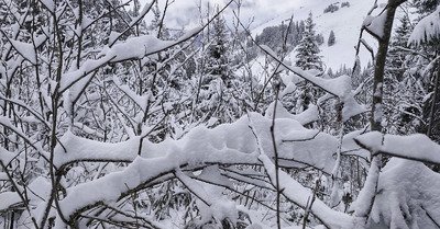 Fen&ecirc;tre sur poudre