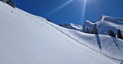 Une journ&eacute;e &agrave; DisneyLand 