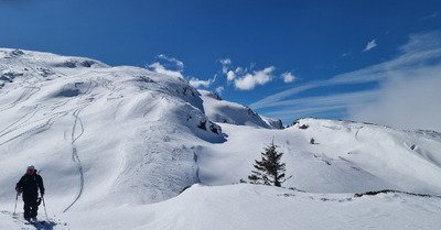 quint&eacute; gagnant