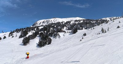 Entre l'hiver et le printemps