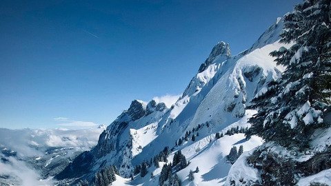 &Ccedil;a coulait de partout 